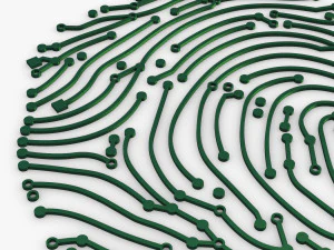 electronic fingerprint v 1 3D Model