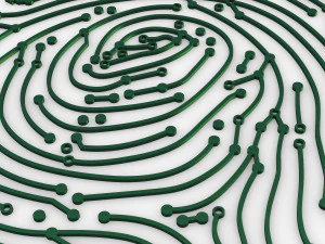 electronic fingerprint v 1 3D Model