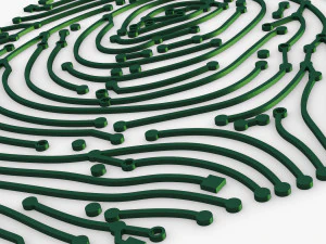 electronic fingerprint v 1 3D Model