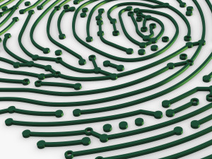 electronic fingerprint v 1 Modèle 3D
