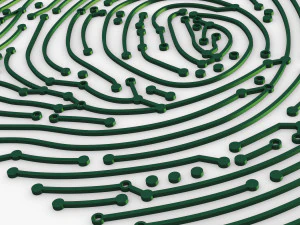 electronic fingerprint v 1 3D Model
