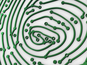 electronic fingerprint v 1 3D Model