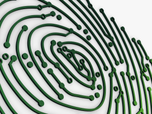 electronic fingerprint v 1 Modèle 3D