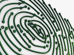 electronic fingerprint v 1 3D Model