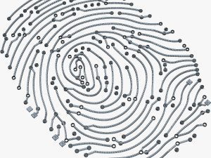 electronic fingerprint v 1 Modèle 3D