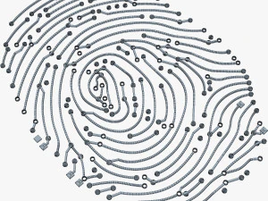 electronic fingerprint v 1 3D Model
