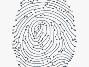electronic fingerprint v 1 Modèle 3D