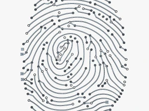 electronic fingerprint v 1 3D Model