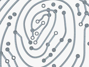 electronic fingerprint v 1 3D Model