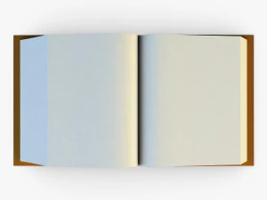 open book v 1 3D Model