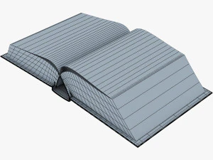 open book v 1 3D Model