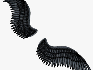 eagle wings gold v 2 3D 模型