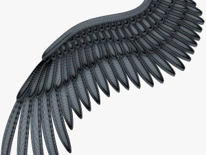 鹰翼金 v 2 3D 模型