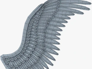 鹰翼金 v 2 3D 模型