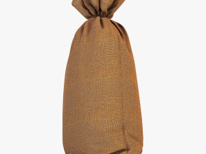 sack v 1 Model 3D