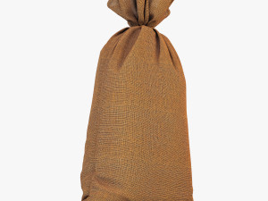 sack v 1 Model 3D