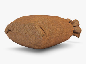 sack v 1 Model 3D