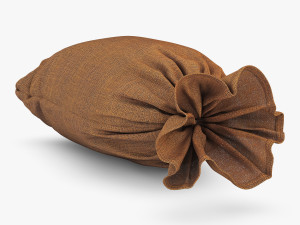 sack v 1 Model 3D