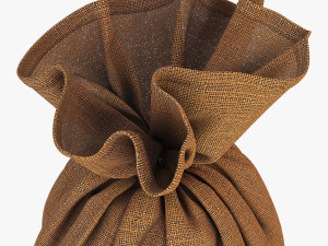 sack v 1 Model 3D