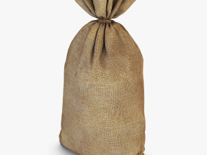 sack v 2 Modèle 3D
