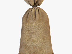 sack v 2 Modèle 3D