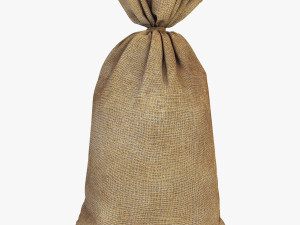 sack v 2 Modèle 3D