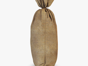 sack v 2 Modèle 3D