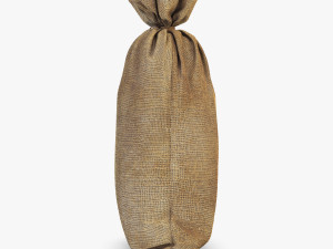 sack v 2 Modèle 3D