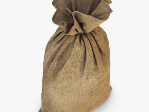 sack v 2 Modèle 3D