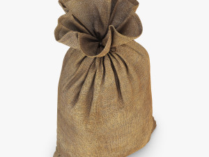 sack v 2 Modèle 3D
