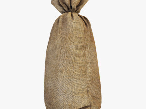 sack v 2 Modèle 3D