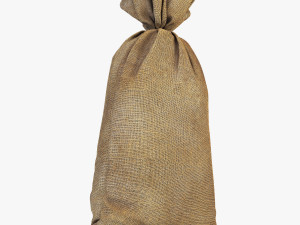 sack v 2 Modèle 3D