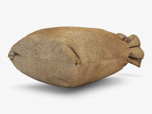 sack v 2 Modèle 3D