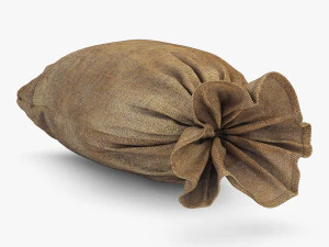 sack v 2 3D Model