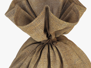 sack v 2 Modèle 3D