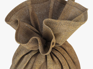 sack v 2 Modèle 3D
