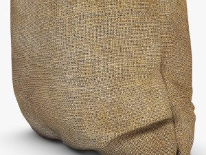 sack v 2 Modèle 3D