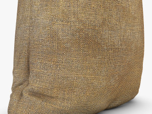 sack v 2 Modèle 3D