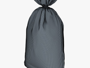 sack v 2 Modèle 3D