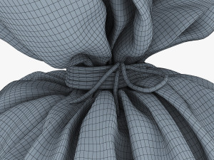 sack v 2 Modèle 3D