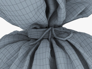 sack v 2 Modèle 3D