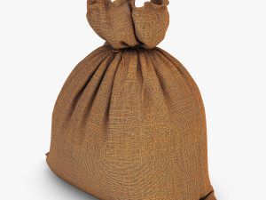 sack v 3 3D Model