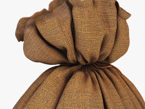sack v 3 3D Model