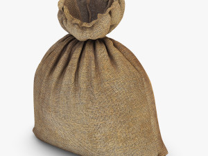 sack v 4 3D Model