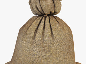 sack v 4 3D Model