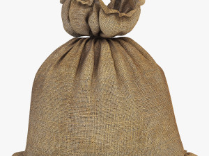 sack v 4 3D Model