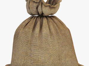 sack v 4 3D Model