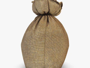 sack v 4 3D Model