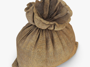 sack v 4 3D Model