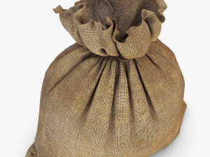 sack v 4 3D Model